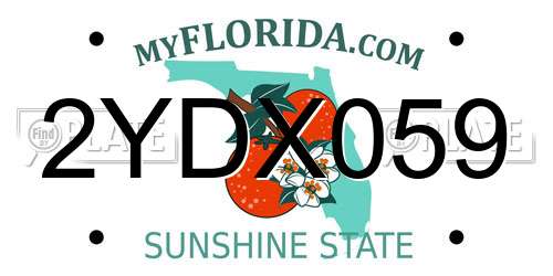2YDX059 Florida License Plate