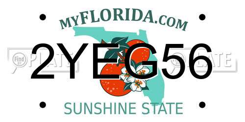 2YEG56 Florida License Plate