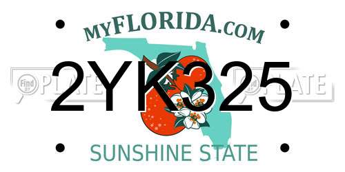 2YK325 Florida License Plate