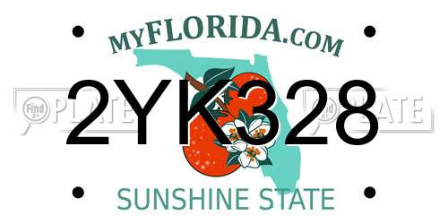 2YK328 Florida License Plate