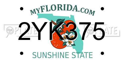 2YK375 Florida License Plate