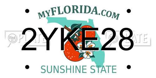2YKE28 Florida License Plate