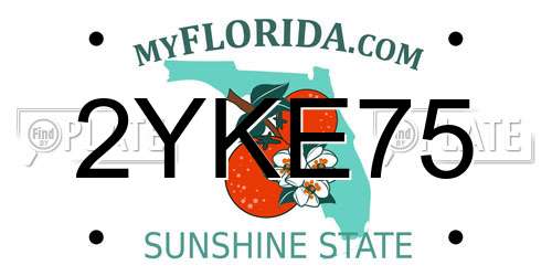2YKE75 Florida License Plate