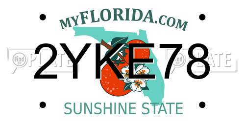 2YKE78 Florida License Plate