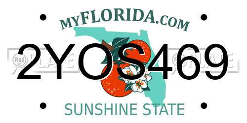 2YOS469 Florida License Plate
