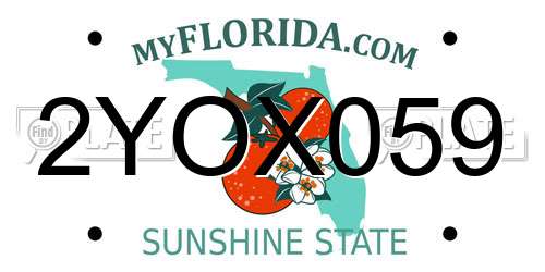 2YOX059 Florida License Plate