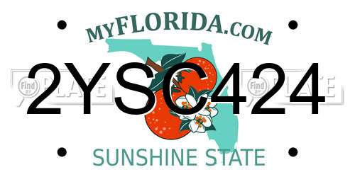 2YSC424 Florida License Plate