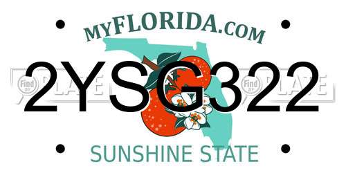 2YSG322 Florida License Plate