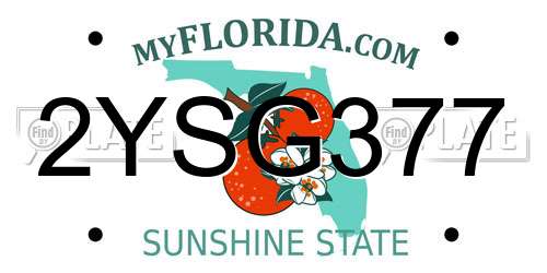 2YSG377 Florida License Plate