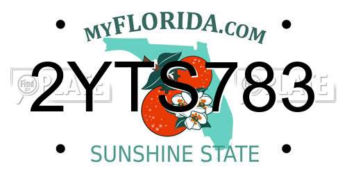 2YTS783 Florida License Plate