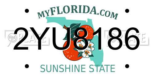 2YU8186 Florida License Plate