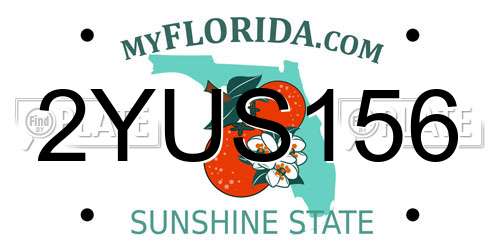 2YUS156 Florida License Plate