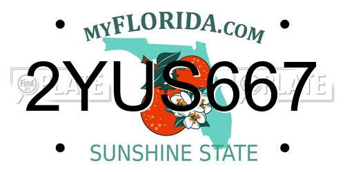 2YUS667 Florida License Plate