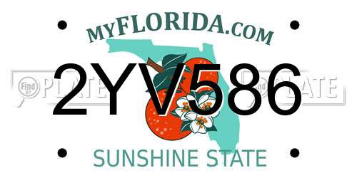 2YV586 Florida License Plate