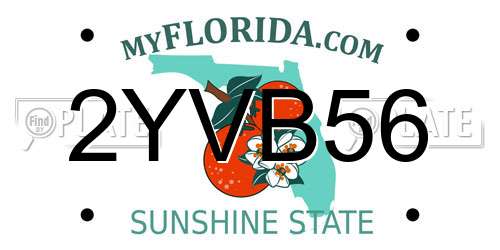 2YVB56 Florida License Plate