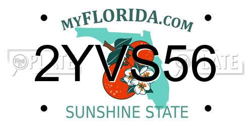 2YVS56 Florida License Plate