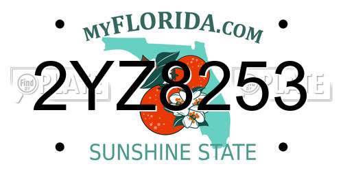 2YZ8253 Florida License Plate