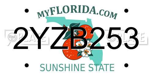 2YZB253 Florida License Plate