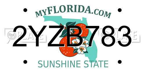 2YZB783 Florida License Plate