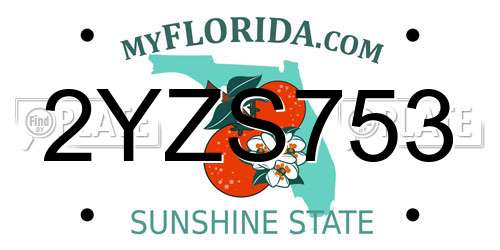 2YZS753 Florida License Plate