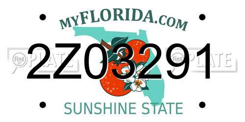 2Z03291 Florida License Plate