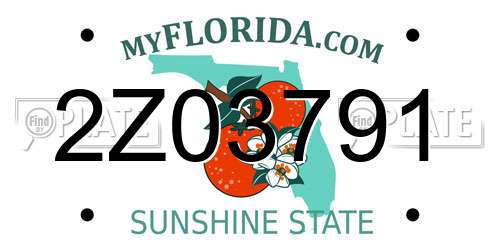 2Z03791 Florida License Plate