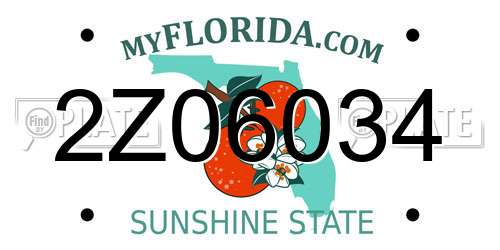 2Z06034 Florida License Plate