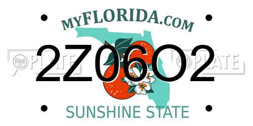 2Z06O2 Florida License Plate