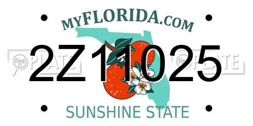 2Z11025 Florida License Plate