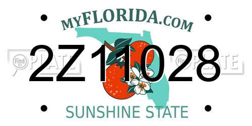 2Z11028 Florida License Plate