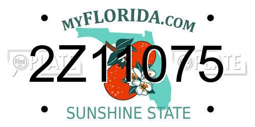 2Z11075 Florida License Plate