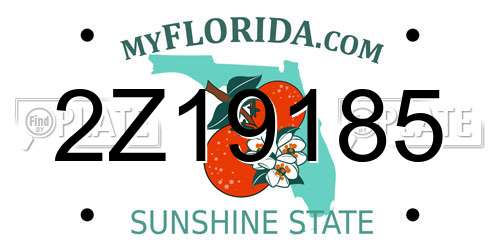 2Z19185 Florida License Plate