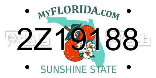 2Z19188 Florida License Plate