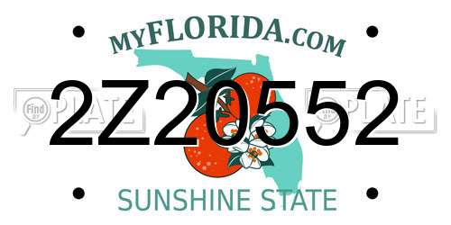 2Z20552 Florida License Plate
