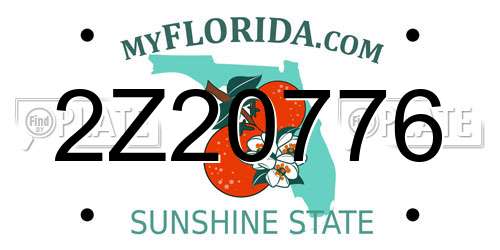 2Z20776 Florida License Plate