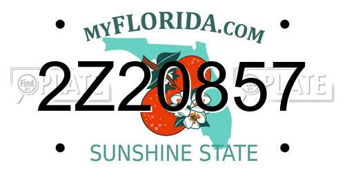 2Z20857 Florida License Plate