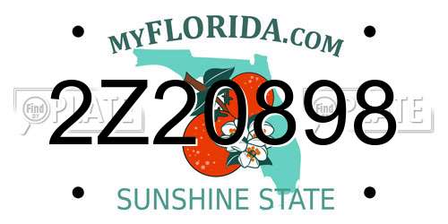 2Z20898 Florida License Plate