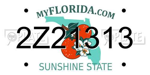 2Z21313 Florida License Plate