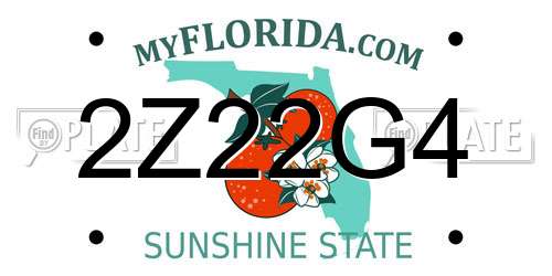 2Z22G4 Florida License Plate