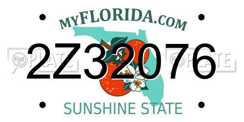 2Z32076 Florida License Plate
