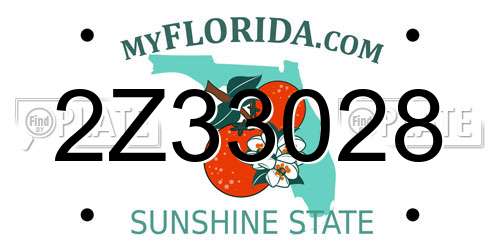 2Z33028 Florida License Plate