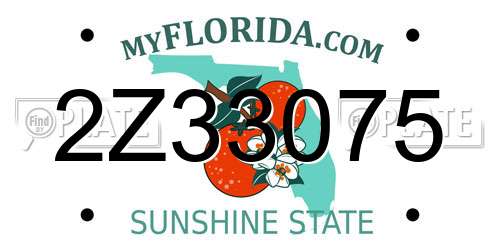 2Z33075 Florida License Plate