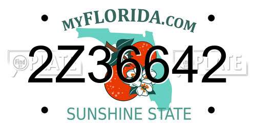 2Z36642 Florida License Plate