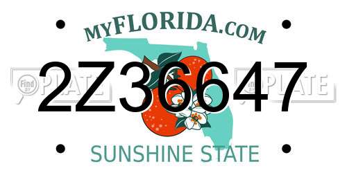 2Z36647 Florida License Plate