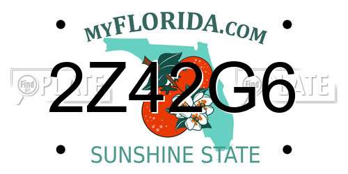 2Z42G6 Florida License Plate