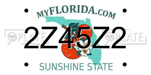 2Z45Z2 Florida License Plate