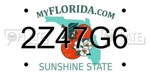 2Z47G6 Florida License Plate