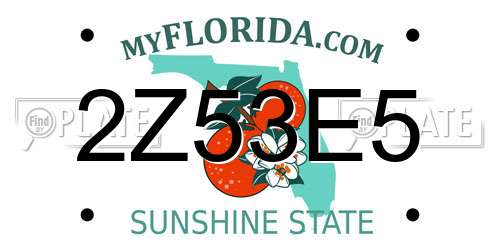 2Z53E5 Florida License Plate