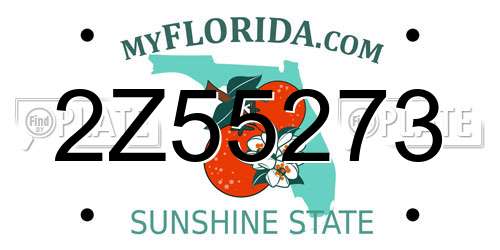 2Z55273 Florida License Plate