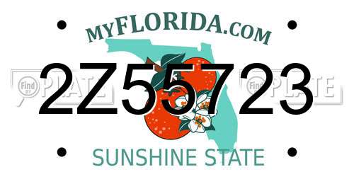 2Z55723 Florida License Plate